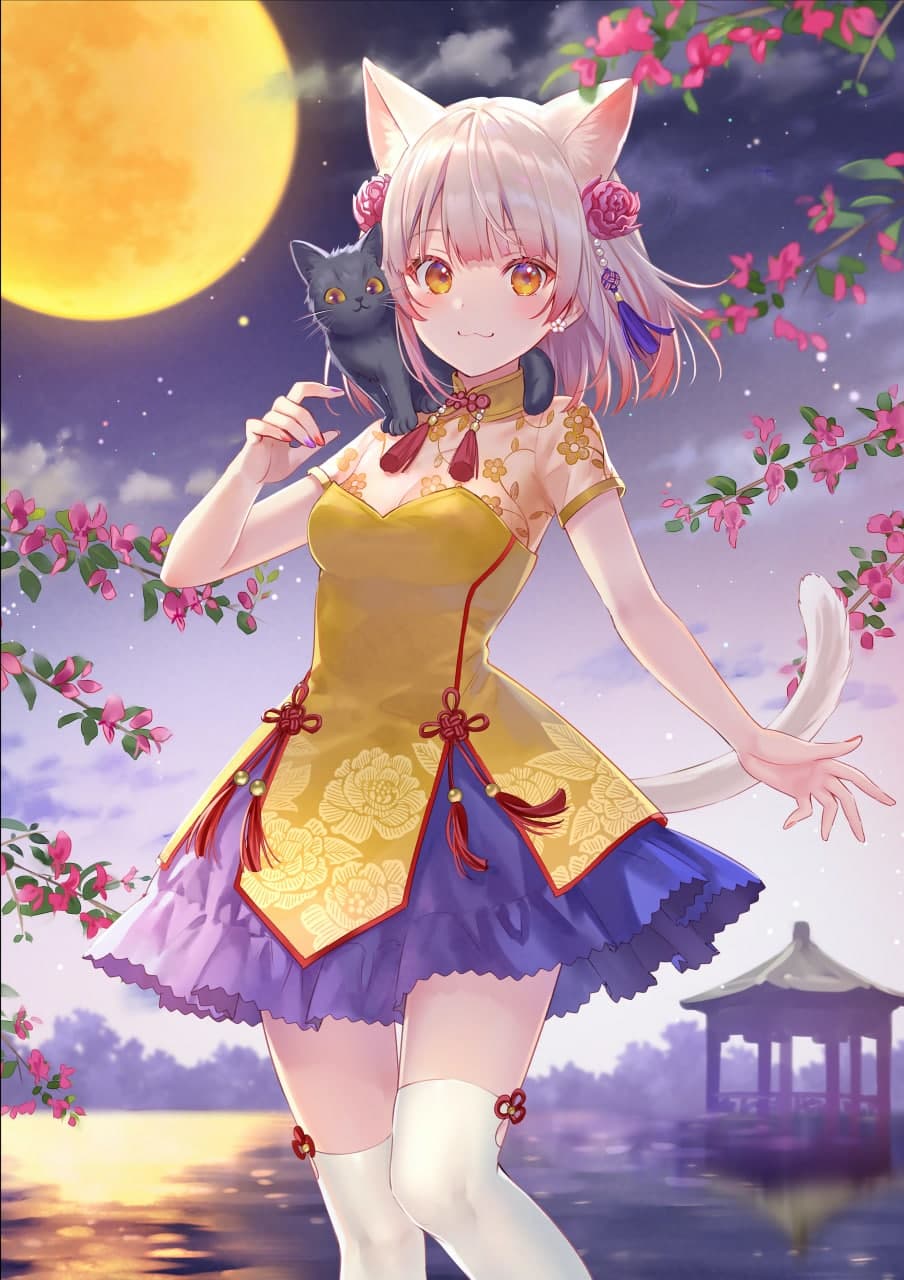【星穹铁道生日会】星穹拾光 Pieces Of Miracles